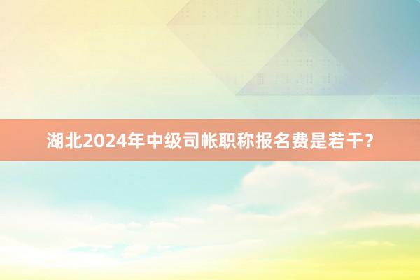 湖北2024年中级司帐职称报名费是若干？