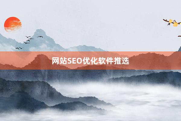 网站SEO优化软件推选