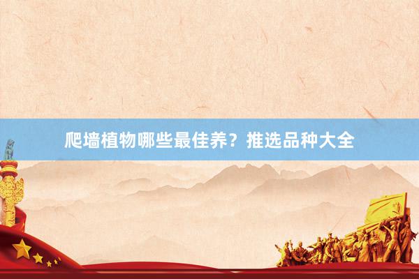 爬墙植物哪些最佳养?推选品种大全